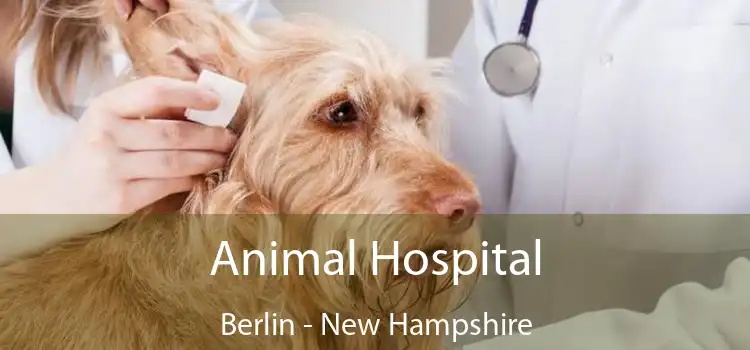 Animal Hospital Berlin - New Hampshire