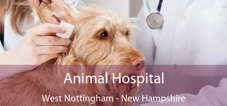 Animal Hospital West Nottingham - New Hampshire