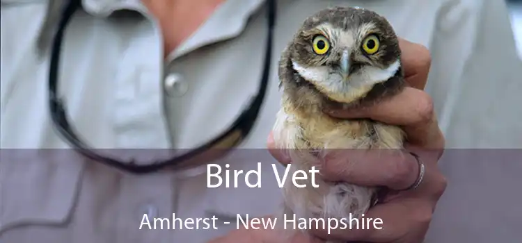 Bird Vet Amherst - New Hampshire