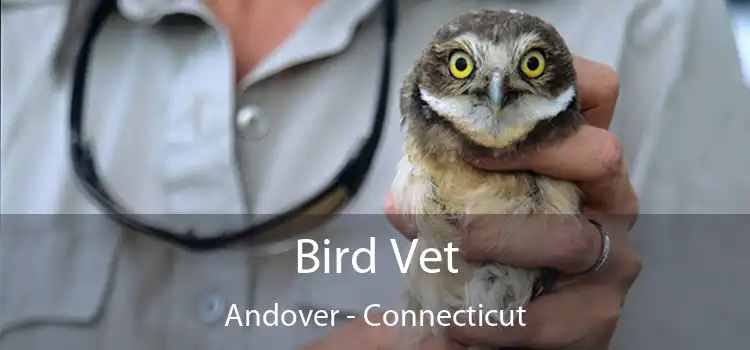 Bird Vet Andover - Connecticut