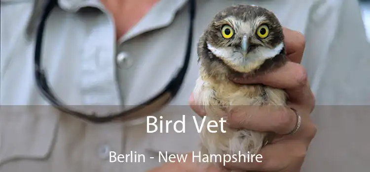 Bird Vet Berlin - New Hampshire