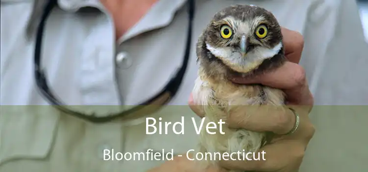 Bird Vet Bloomfield - Connecticut