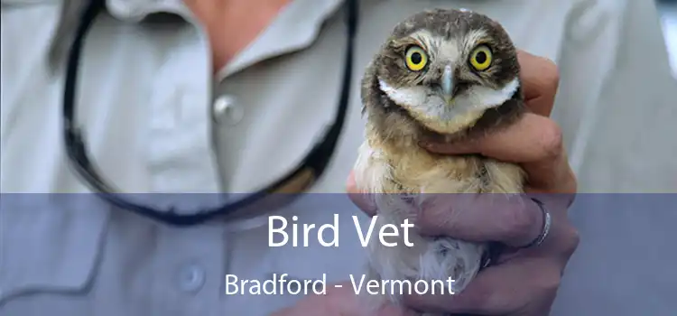 Bird Vet Bradford - Vermont