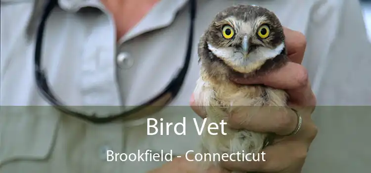 Bird Vet Brookfield - Connecticut