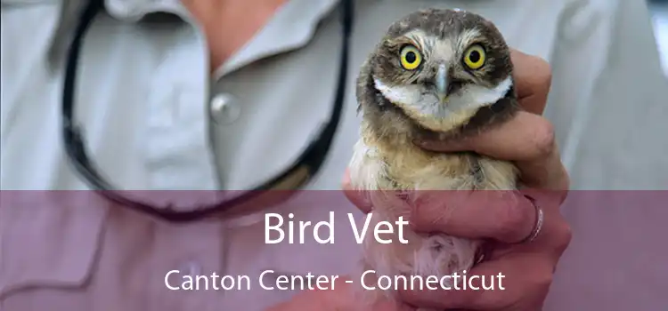 Bird Vet Canton Center - Connecticut