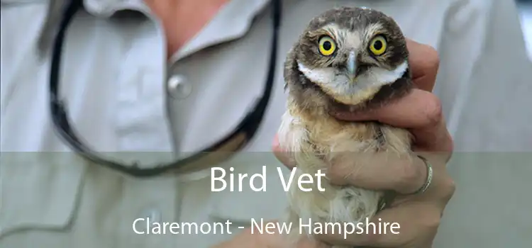 Bird Vet Claremont - New Hampshire