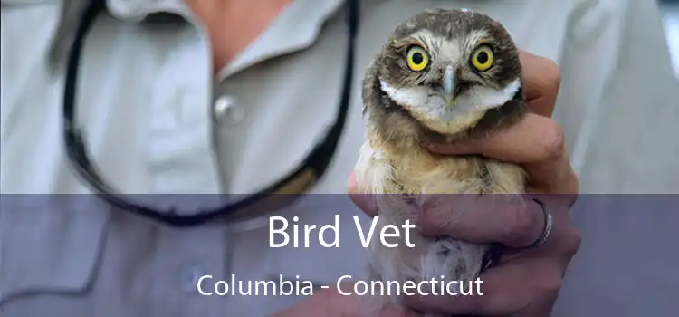 Bird Vet Columbia - Connecticut