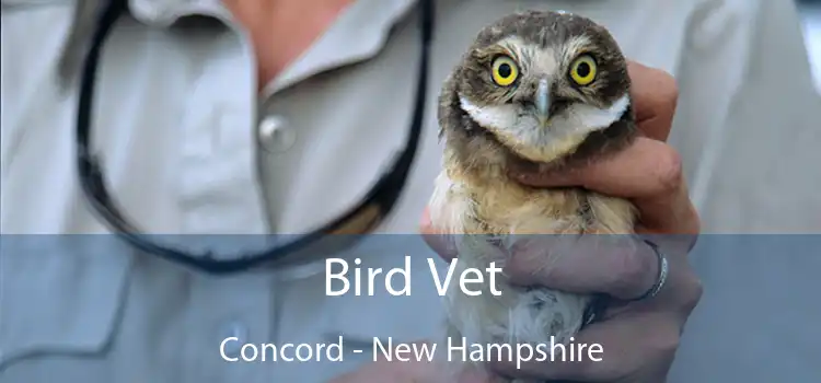 Bird Vet Concord - New Hampshire