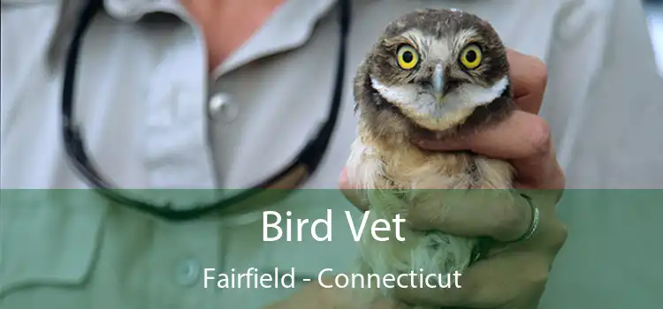 Bird Vet Fairfield - Connecticut