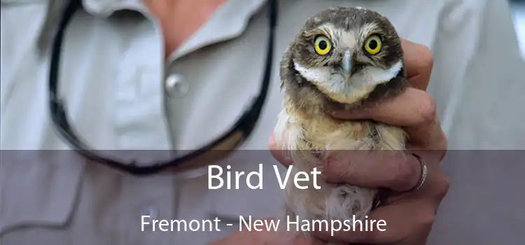 Bird Vet Fremont - New Hampshire