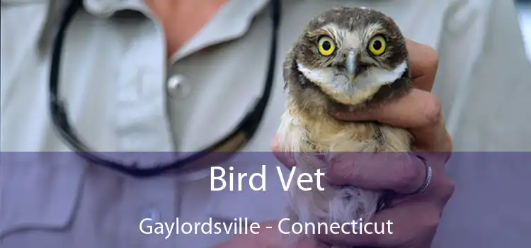 Bird Vet Gaylordsville - Connecticut