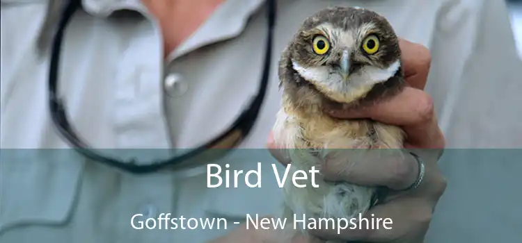 Bird Vet Goffstown - New Hampshire