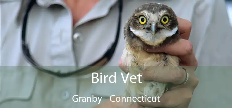 Bird Vet Granby - Connecticut