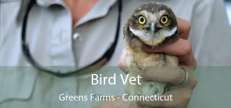 Bird Vet Greens Farms - Connecticut