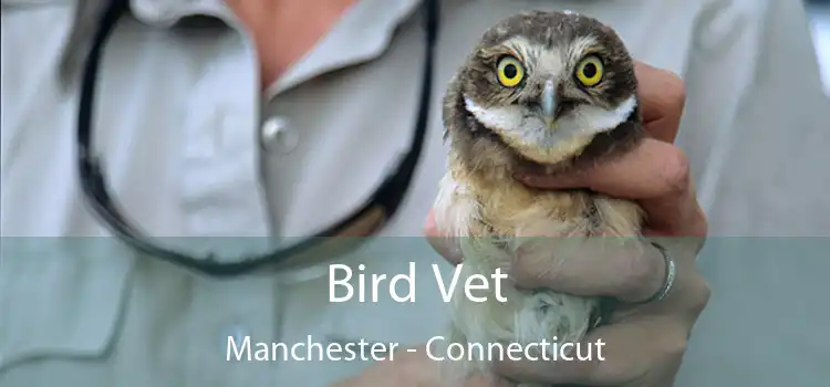 Bird Vet Manchester - Connecticut