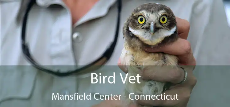 Bird Vet Mansfield Center - Connecticut