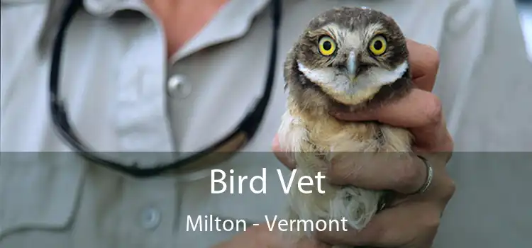 Bird Vet Milton - Vermont