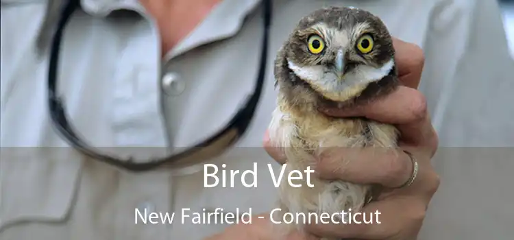 Bird Vet New Fairfield - Connecticut