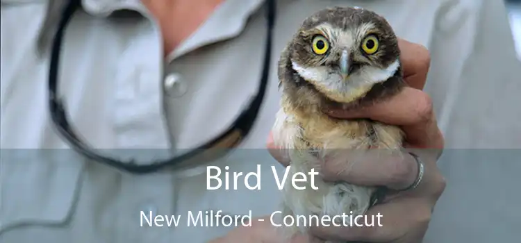 Bird Vet New Milford - Connecticut