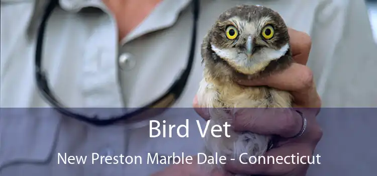 Bird Vet New Preston Marble Dale - Connecticut