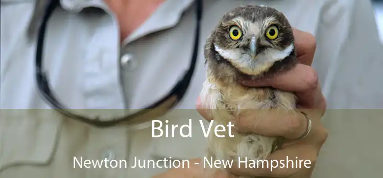 Bird Vet Newton Junction - New Hampshire