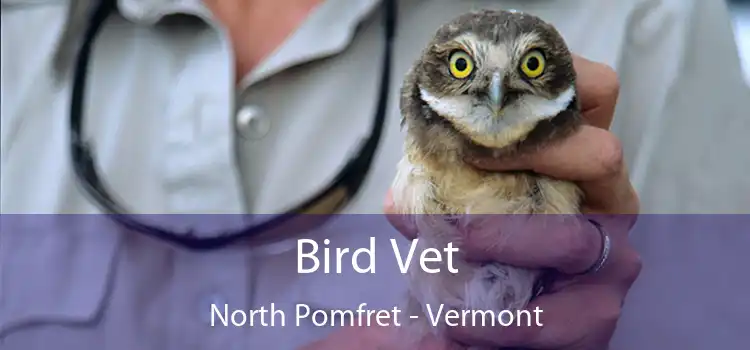 Bird Vet North Pomfret - Vermont