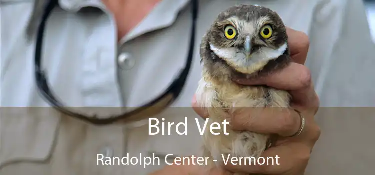 Bird Vet Randolph Center - Vermont