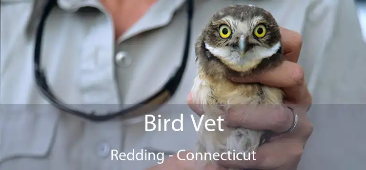 Bird Vet Redding - Connecticut