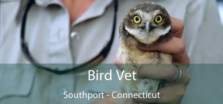 Bird Vet Southport - Connecticut