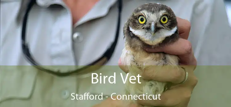 Bird Vet Stafford - Connecticut