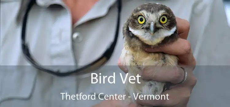 Bird Vet Thetford Center - Vermont