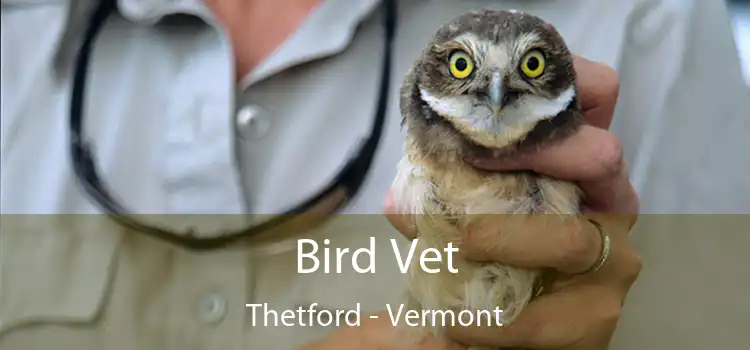 Bird Vet Thetford - Vermont