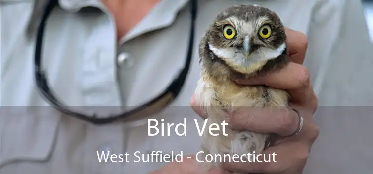 Bird Vet West Suffield - Connecticut