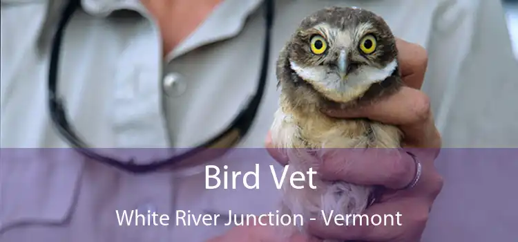 Bird Vet White River Junction - Vermont