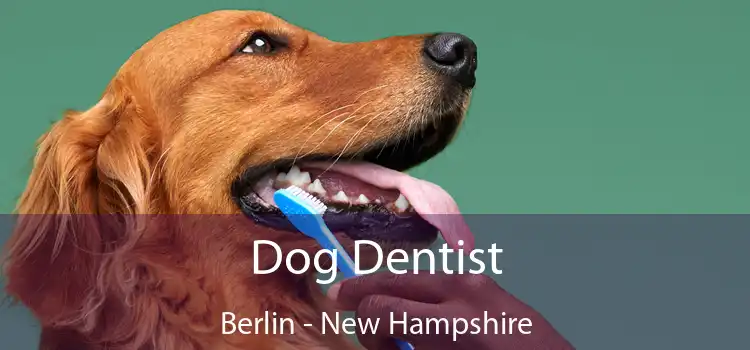 Dog Dentist Berlin - New Hampshire