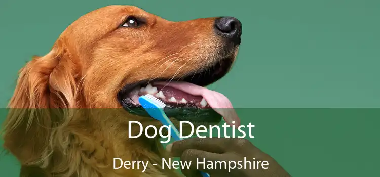 Dog Dentist Derry - New Hampshire