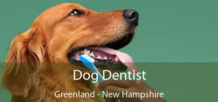 Dog Dentist Greenland - New Hampshire