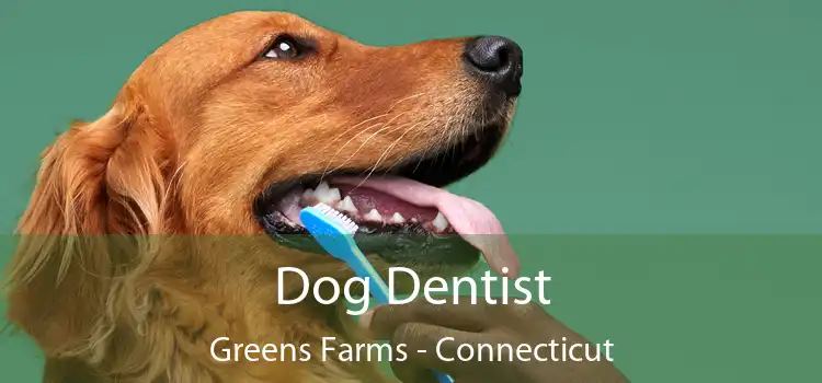 Dog Dentist Greens Farms - Connecticut