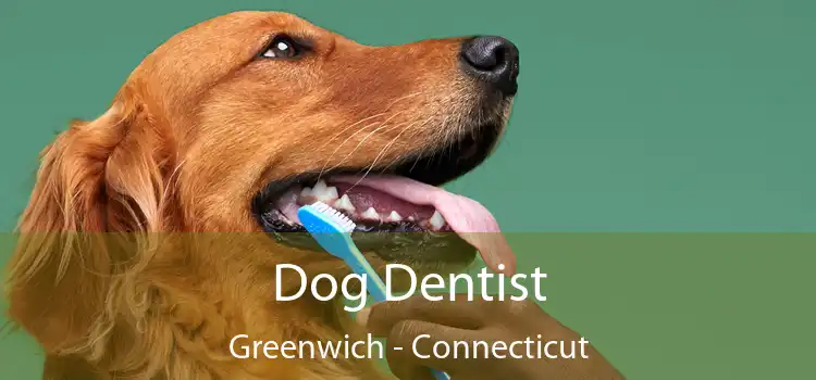 Dog Dentist Greenwich - Connecticut