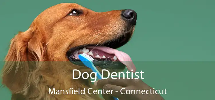 Dog Dentist Mansfield Center - Connecticut