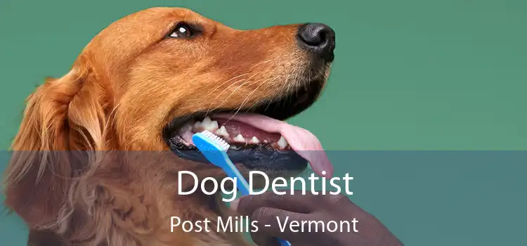 Dog Dentist Post Mills - Vermont