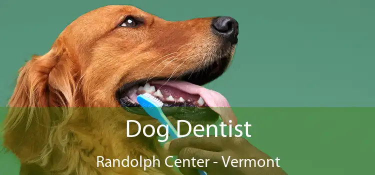 Dog Dentist Randolph Center - Vermont