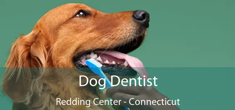 Dog Dentist Redding Center - Connecticut