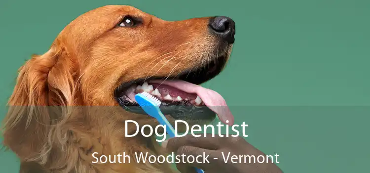 Dog Dentist South Woodstock - Vermont