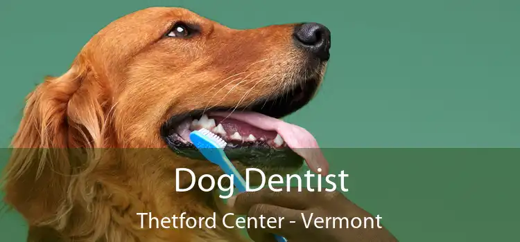 Dog Dentist Thetford Center - Vermont