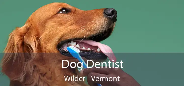 Dog Dentist Wilder - Vermont