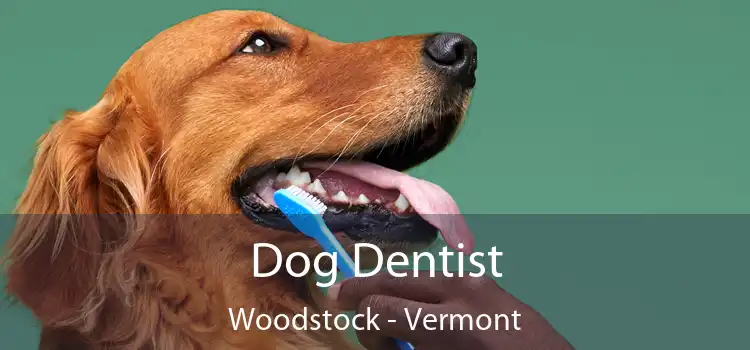 Dog Dentist Woodstock - Vermont