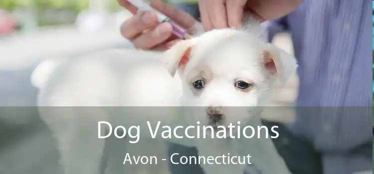 Dog Vaccinations Avon - Connecticut