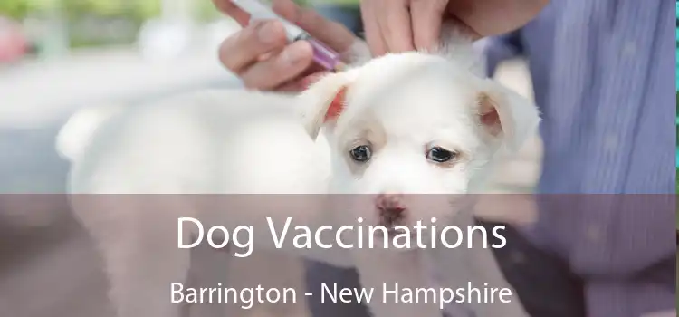 Dog Vaccinations Barrington - New Hampshire