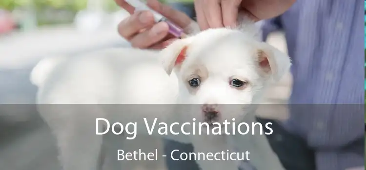 Dog Vaccinations Bethel - Connecticut